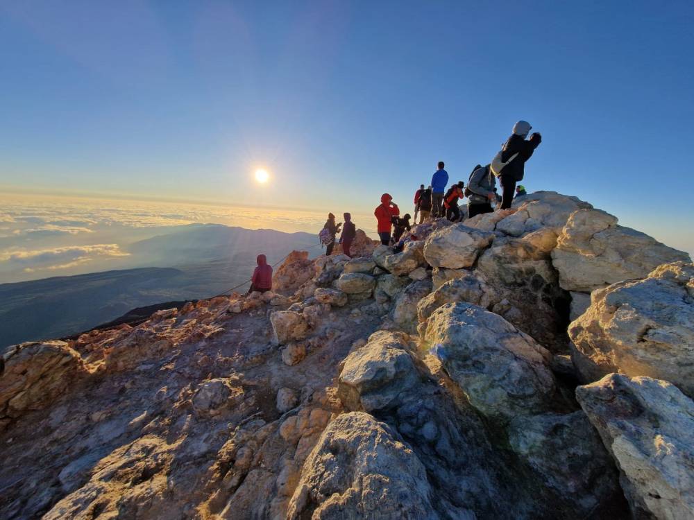 Hiking Tours in Tenerife
