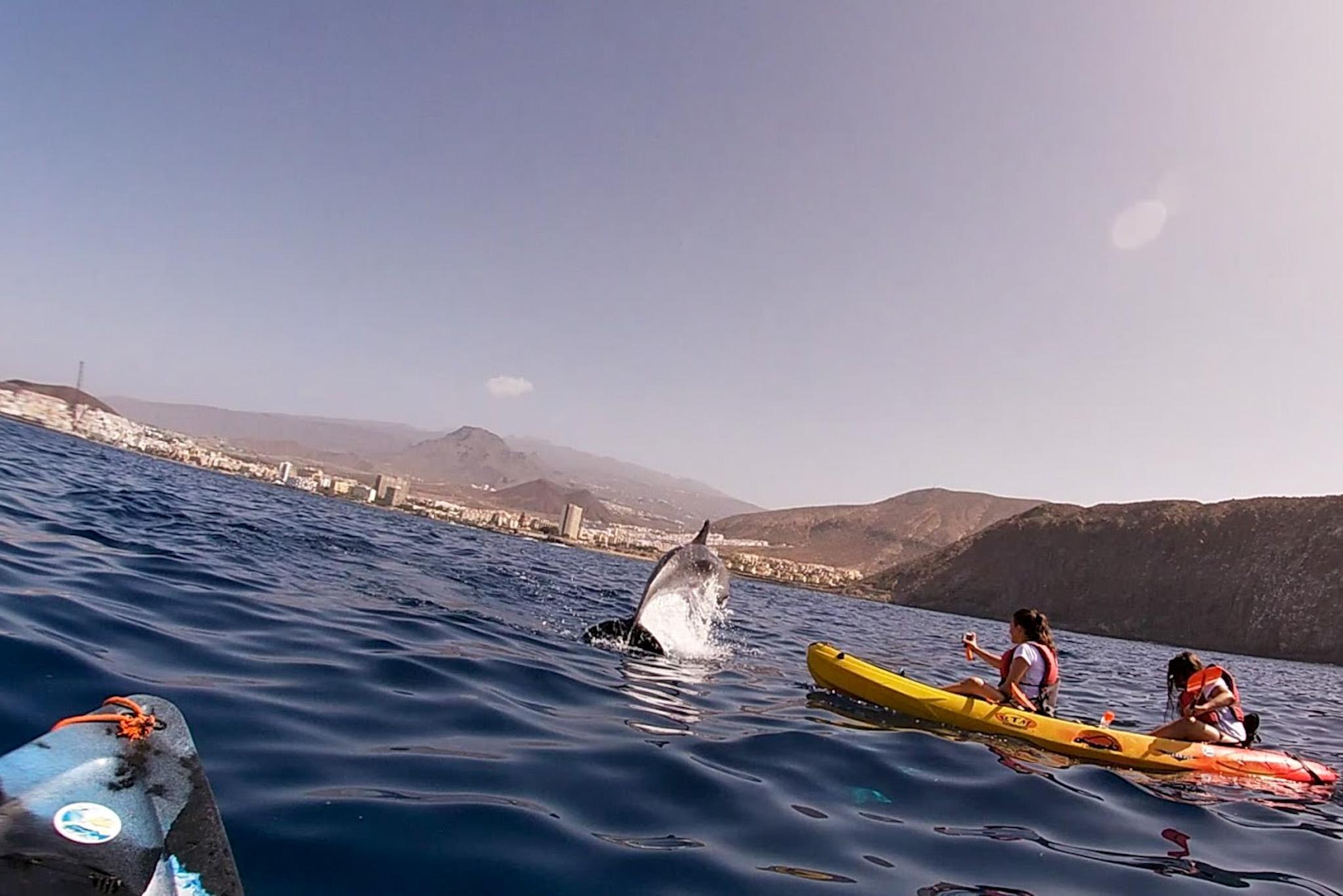 Kayaking and Snorkeling